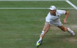 Le N.1 mondial Jannik Sinner en finale de Wimbledon le 12 juillet 2026 à Londres