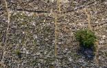 Photo aérienne d'un cimetière à Hong Kong, le 5 novembre 2018