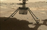 Image diffusée par la Nasa le 4 avril 2021 du mini-hélicoptère Ingenuity, sous le rover Perseverance, sur Mars