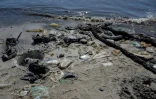 Des déchets accumulés sur les plages de l'île de Pombeba, dans la baie de Guanabara, le 17 février 2025 à Rio de Janeiro, au Brésil