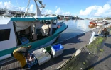 Un pêcheur décharge sa pêche dans le port de Boulogne-sur-Mer, dans le nord de la France, le 3 novembre 2021