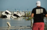Un homme regarde le 11 septembre 2017 les bateaux de la marina de Miami qui ont souffert du passage d'Irma