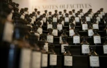 Accompagnés d'un guide, les visiteurs vont découvrir un "orgue du parfumeur" avec ses 400 flacons destinés à créer des compositions et utilisé jusqu'au XXe siècle