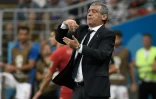 Le sélectionneur du Portugal Fernando Santos donne des instructions lors du match face à l'Iran au Mondial, le 25 juin 2018 à Saransk