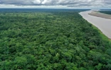 Vue aérienne du fleuve Amazone, près de Leticia, en novembre 2020 en Colombie