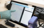 Les spermatozoïdes de la panthère mâle Baruto vus au microscope, lors du prélèvement de semence, le 9 octobre 2025 au zoo de Mulhouse, dans le Haut-Rhin