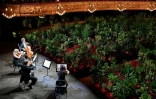El cuarteto Uceli actúa para un público formado por plantas durante un concierto creado por el artista español Eugenio Ampudia, el 22 de junio de 2020 en el Gran Teatro Liceu de Barcelona