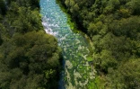 Vue aérienne du Candover Brook, un cours d’eau crayeux affluent de la rivière Itchen, près de Winchester, en Angleterre, le 25 août 2026