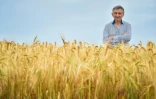 Jean-Pierre Rennaud pose dans un champ d'orge à Groix, le 19 juin 2019