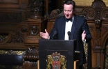 Le Premier ministre britannique David Cameron, le 12 février 2016 à Hambourg
