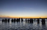 Des migrants avancent dans l'eau pour essayer de monter à bord d'un "bateau-taxi" pour traverser la Manche le 19 septembre 2025 au large de la plage de Gravelines, dans le nord de la France