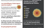Quelques faits sur les virus