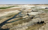 Vue aérienne de pompes acheminant de l'eau du lac Assad, au niveau du village d'al-Touwayhina, près du barrage de Tabqa, le 27 juillet 2021 dans le nord de la Syrie