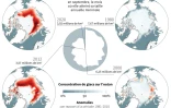 La disparition de la banquise arctique