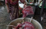Une femme prépare de la viande de chien pour la vendre, dans un abattoir de la province de Siem Reap, le 25 octobre 2019