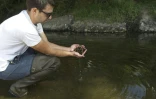 Damien Buzance, chargé de mission de la fédération de pêche d'Indre-et-Loire, tient des coquilles de corbicule, aussi appelée palourde asiatique, le 27 juillet 2022 à Vouvray, en Indre-et-Loire