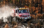 Un camion de pompiers au milieu d'une végétation en partie détruite par un incendie à LÚge-Cap-Ferret, en Gironde, le 1er août 2026