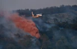 Un avion Dash largue du retardant sur les flammes d'un incendie près de Bizanet, le 29 juin 2025