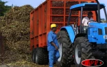 Mardi 29 mars 2005 -

Les planteurs ont manifesté devant la direction de l'agriculture et de la forêt pour obtenir le versement de l'aide au transport