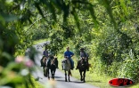 La ferme équestre de Grand Étang propose plusieurs circuits de balades à cheval