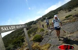 Grand Raid 2003 - Samedi 25 octobre 2003

La montée vers la Roche Écrite et la traversée de la Plaine des Chicots