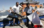 Vendredi 5 mai 2006 -

Images de la journée de recherches suite au crash d'un bimoteur Piper Aztec