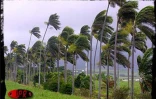 Ando est passé au plus près de La Réunion samedi 6 janvier 2001 en fin d'après-midi. Il a provoqué de fortes précipitations et des vents violents en rafales