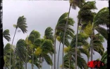 Ando est passé au plus près de La Réunion samedi 6 janvier 2001 en fin d'après-midi. Il a provoqué de fortes précipitations et des vents violents en rafales