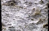 Le cyclone intense Ando est passé au large de la Réunion le samedi 6 janvier 2001. Les fortes pluies ont entraîné la mort d'un automobiliste qui s'est noyé en voulant traverser un radier submergé dans l'Ouest