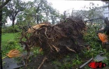 Le cyclone intense Dina qui s'est abattu sur La Réunion le 22 janvier 2002a provoqué d'importants dégâts