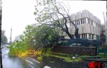 Le cyclone intense Dina qui s'est abattu sur La Réunion le 22 janvier 2002a provoqué d'importants dégâts