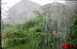 Le cyclone intense Dina qui s'est abattu sur La Réunion le 22 janvier 2002 a provoqué d'importants dégâts