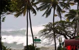 Le cyclone tropical intense Dina s'est abattu sur La Réunion le 22 janvier 2002. Il s'agissait de la tempête la plus forte depuis le passage du cyclone Firinga en 1989