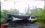 Le cyclone tropical intense Dina s'est abattu sur La Réunion le 22 janvier 2002. Les dégâts se sont chiffrés à pluiseurs millions d'euros