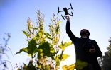 Cédric Petit, fondateur de l'association "Sauvons Bambi", utilise un drone pour repérer les faons près de Namur, dans le centre de la Belgique, le 24 juin 2024