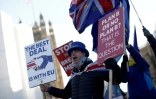 Un militant anti-Brexit manifeste près du Parlement, à Londres le 28 janvier 2019