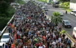 Des centaines de migrants, pour la plupart originaires d'Amérique centrale et du Venezuela, font partie d'une caravane à destination des États-Unis, à la périphérie de Tapachula, dans l'État du Chiapas, au Mexique, le 23 juillet 2024