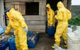 Des conteneurs de produits chimiques découverts lors d’une opération visant à démanteler un laboratoire clandestin abandonné de méthamphétamine à Iroto, au Nigeria, le 29 juillet 2026 