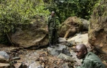 Des gardes forestiers de l'Autorité nationale des aires protégées (NPAA) pendant une patrouille dans la réserve forestière de Kambui, près de Kenema, le 14 juin 2024 en Sierra Leone