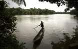 Un pêcheur sur sa pirogue le 1er juillet 2025 sur l'île de Tiwai, dans le sud-est de la Sierra Leone, un trésor de biodiversité. Le complexe de Gola-Tiwai - composé de la réserve de Tiwai et du parc national de la forêt tropicale de Gola - est entré le 13 juillet 2025 au patrimoine mondial de l'humanité à l'issue d'un vote lors de la 47ème session du Comité du patrimoine mondial de l'Unesco