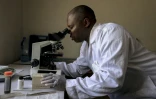 Aristide Takoukam Kamla (g), docteur en biologie marine, spécialiste du lamantin d'Afrique, travaille dans son laboratoire à Dizangue, le 11 décembre 2024 au Cameroun