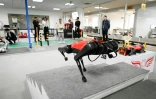 Un robochien dénommé AlphaDog évolue dans l'atelier de l'entreprise Weilan à Nankin, le 2 avril 2021