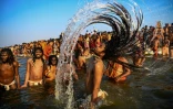 Un ascète hindou se plonge dans les eaux au confluent des fleuves sacrés du nord de l'Inde durant le festival Kumbh Mela à Allahabad, le 15 janvier 2019