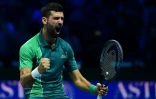 Masters ATP: Novak Djokovic au septième ciel