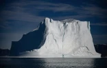 Un iceberg du Scoresby Fjord, le 16 août 2023 au Groënland