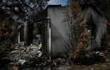 Une maison détruite par le mégafeu de juillet, le 13 août 2026 au Porge, en Gironde