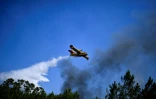 Un avion anti-incendie dans le ciel de Sardoal, au Portugal, le 17 août 2017