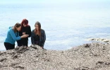 Kristina Pikelj (g), professeure de géologie à l'Université de Zagreb, et deux de ses élèves participent à un projet de protection de l'environnement et des posidonies sur la plage de Sakarun, sur l'île de Dugi Otok, le 8 mai 2025 en Croatie