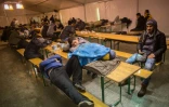 Des migrants en attente le 21 décembre 2015 devant le centre d'enregistrement à Berlin