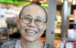 Liu Xia, la veuve du dissident chinois Liu Xiaobo, à son arrivée à l'aéroport d'Helsinki à Vantaa, le 10 juillet 2018